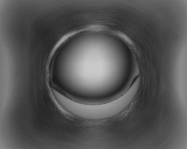 X0000083051430200703022101