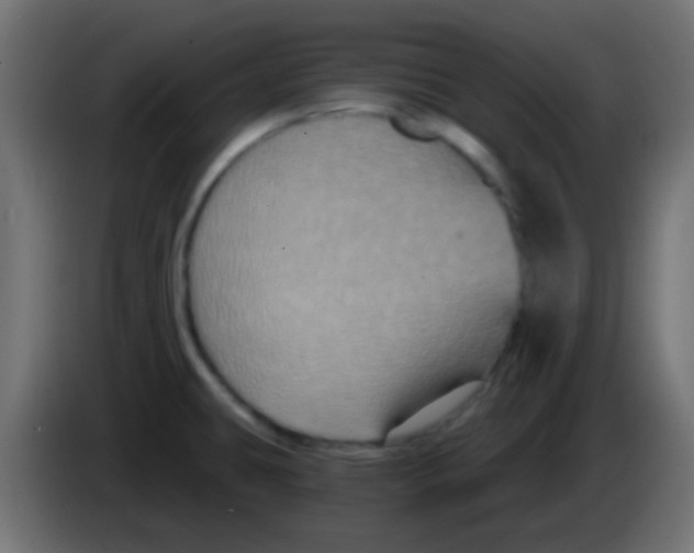 X0000083051431200703022101