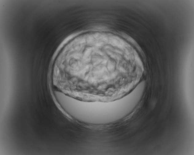 X0000083051432200703022101