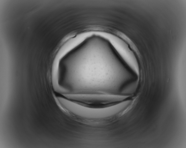 X0000083051433200703022101