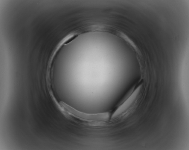 X0000083051434200703022101