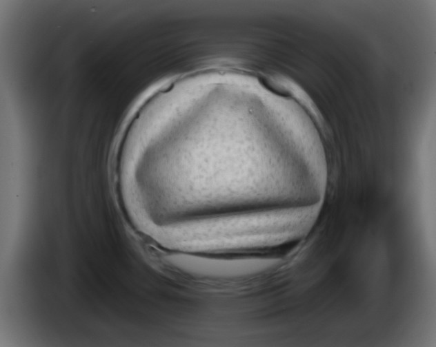 X0000083051435200703022101