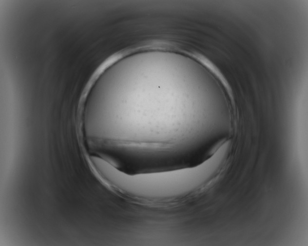 X0000083051437200703022101