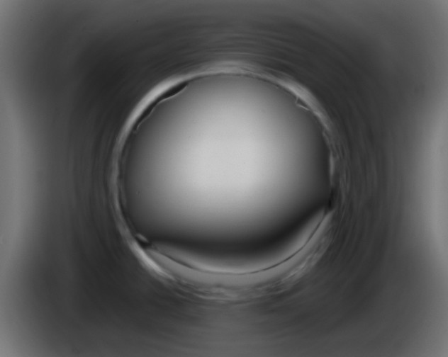 X0000083051438200703022101