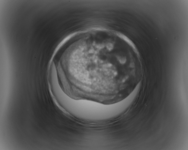 X0000083051439200703022101