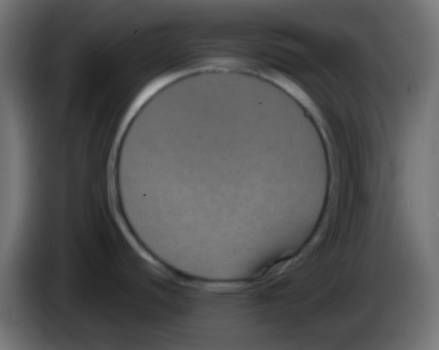 X0000083051440200703022101