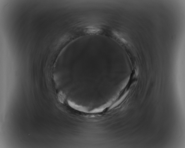 X0000083051441200703022100