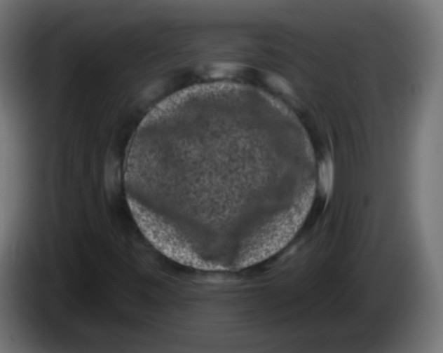 X0000083051443200703022100