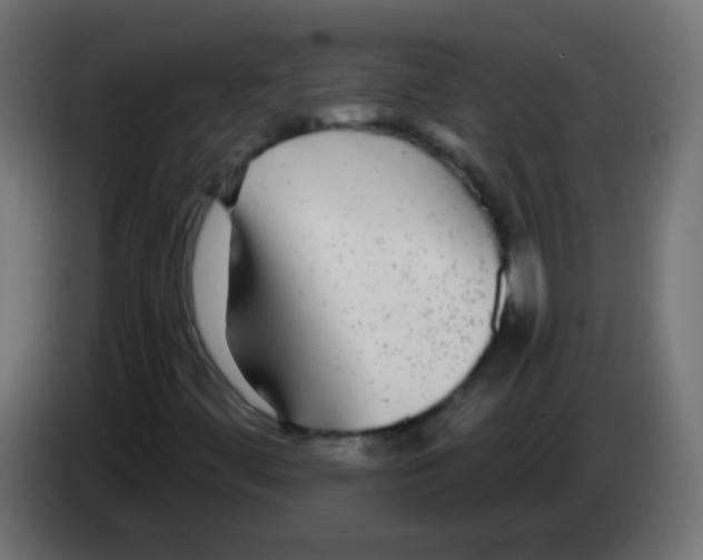 X0000083051444200703022100