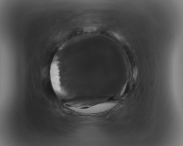 X0000083051445200703022100