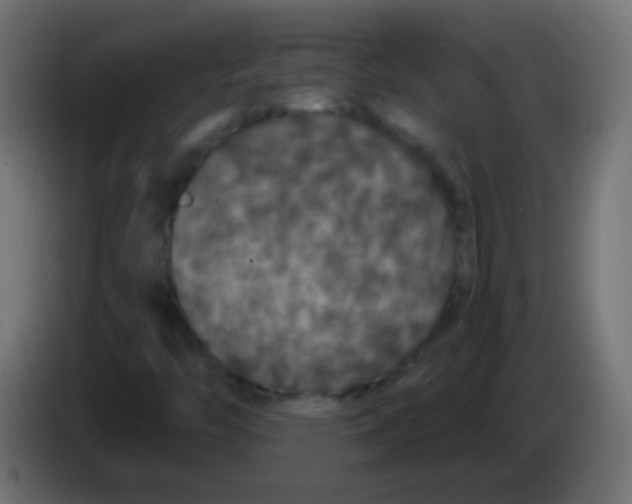 X0000083051446200703022100