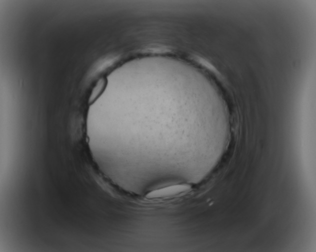 X0000083051448200703022100