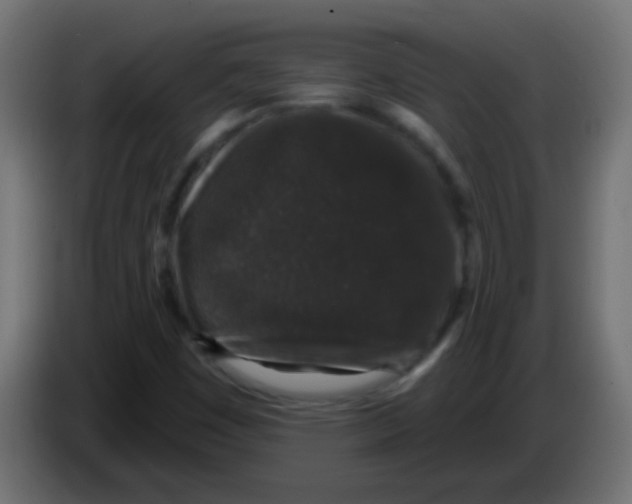 X0000083051449200703022100