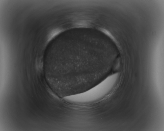 X0000083051450200703022100