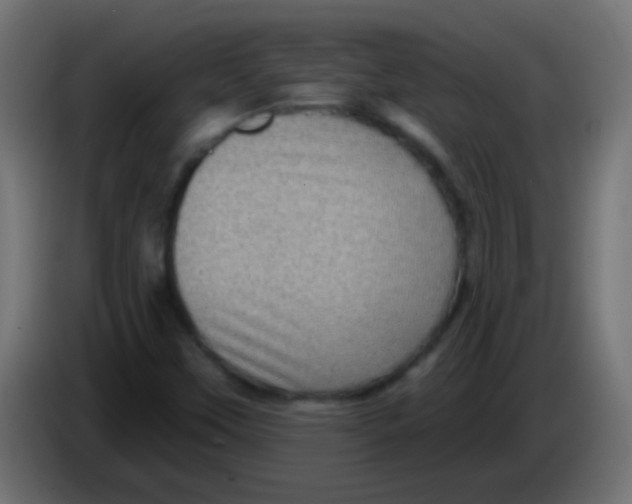 X0000083051451200703022100