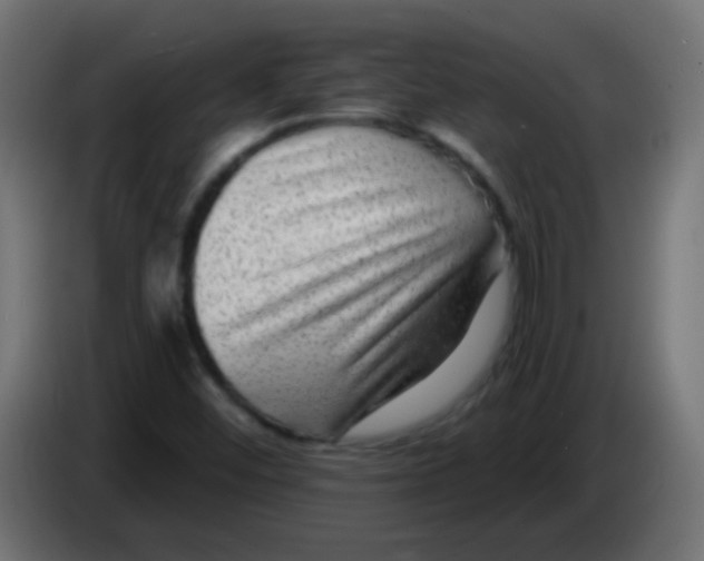 X0000083051452200703022100