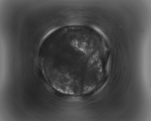 X0000083051453200703022100