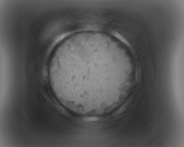 X0000083051454200703022100