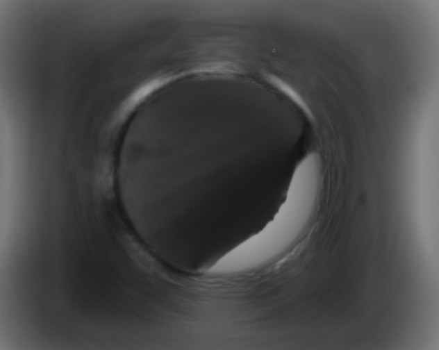 X0000083051455200703022100