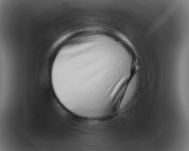 X0000083051456200703022100