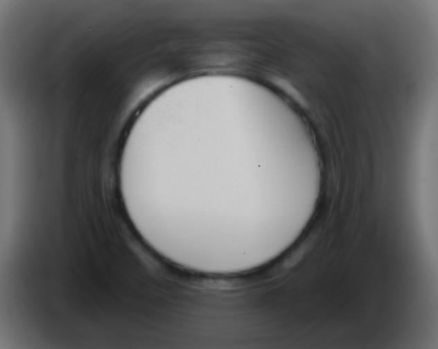 X0000083051458200703022100