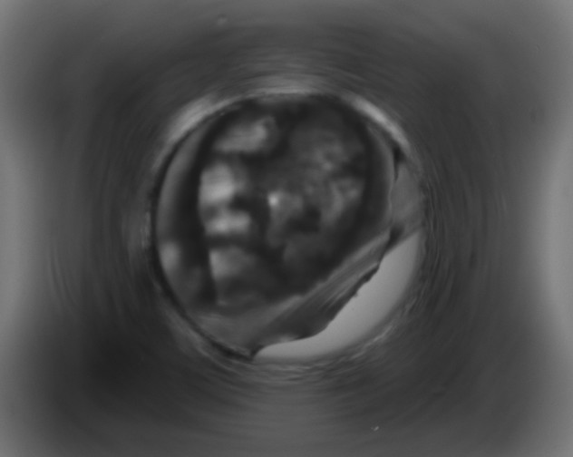 X0000083051459200703022100