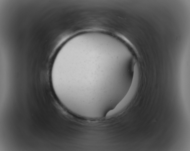 X0000083051460200703022100