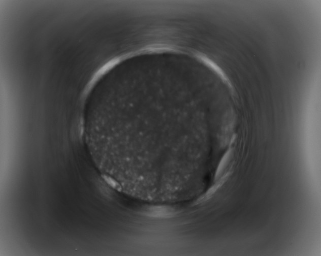 X0000083051461200703022100