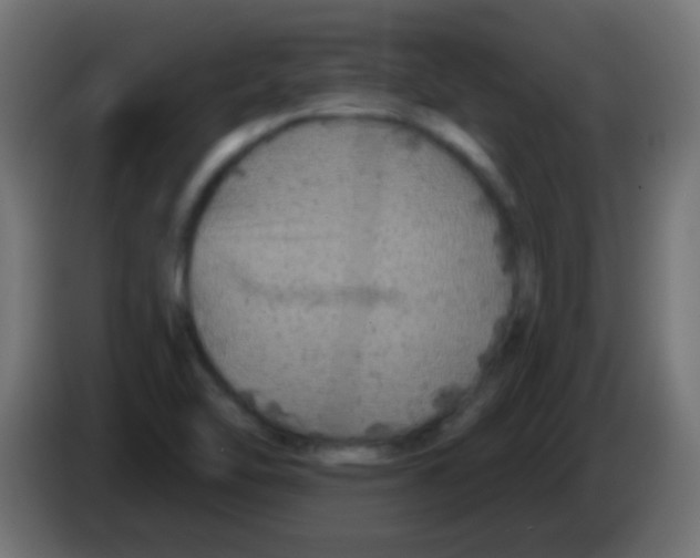 X0000083051462200703022100