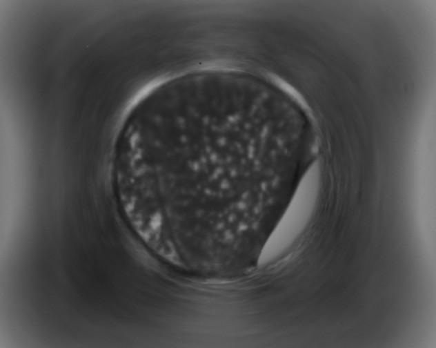 X0000083051463200703022100