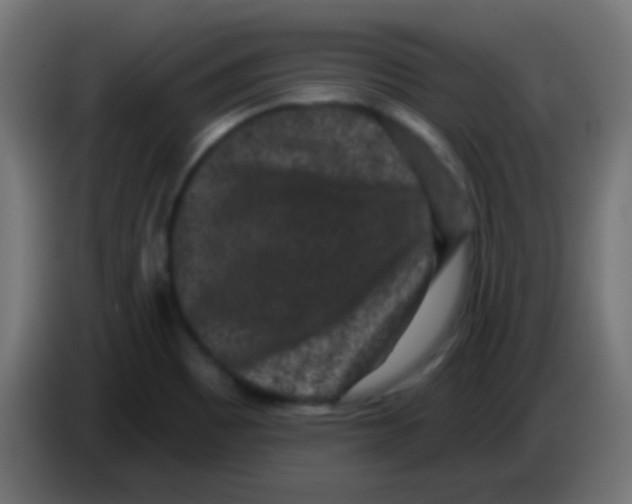 X0000083051465200703022100