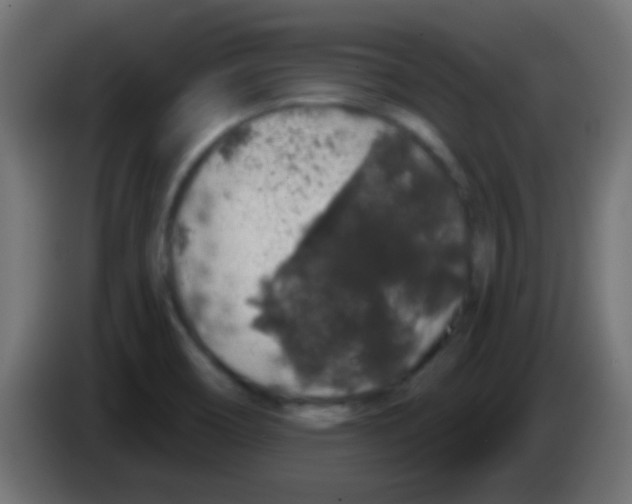 X0000083051466200703022100