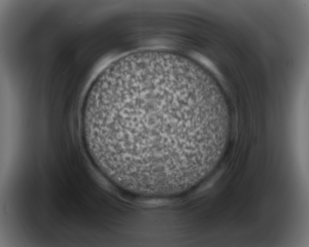 X0000083051467200703022100