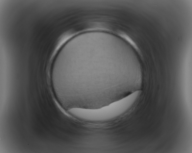 X0000083051468200703022100