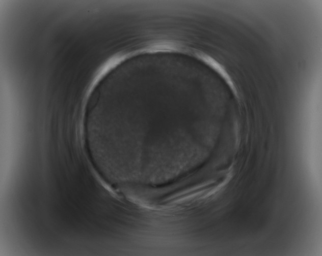 X0000083051469200703022100