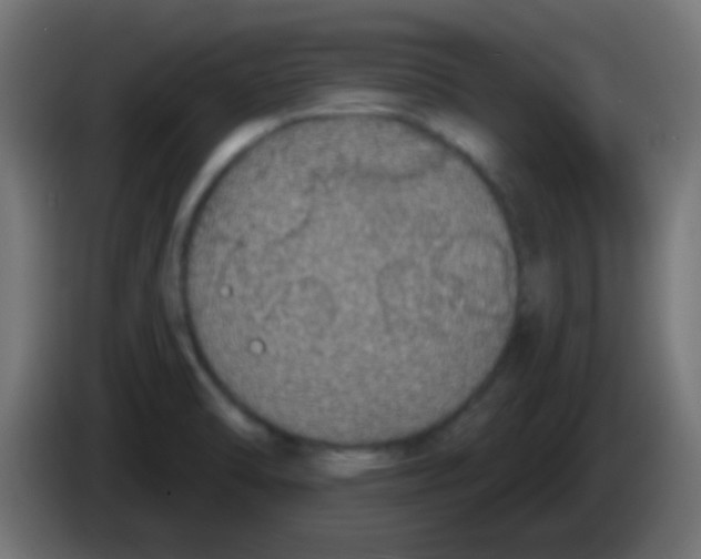 X0000083051470200703022100