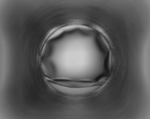 X0000083051473200703022100