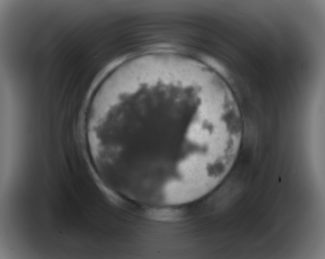 X0000083051474200703022100