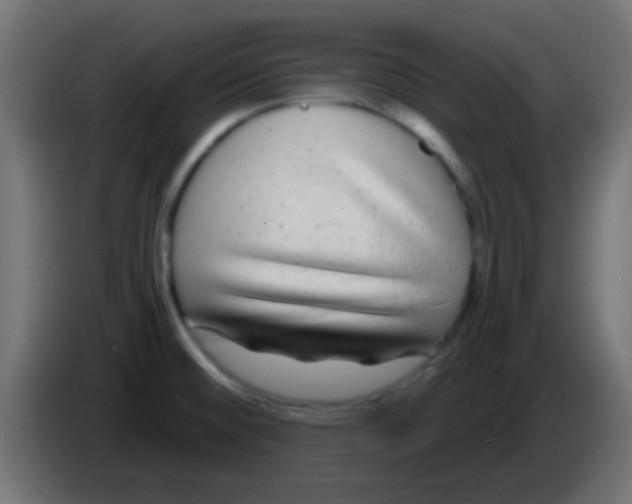 X0000083051476200703022100