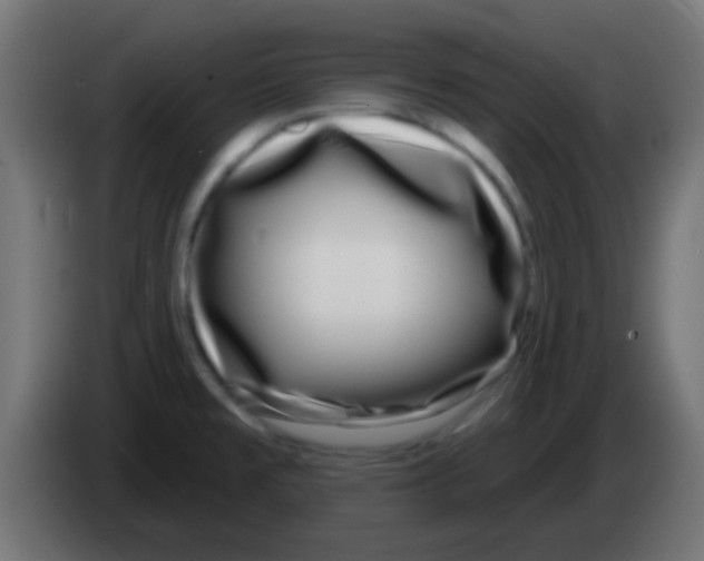 X0000083051477200703022100