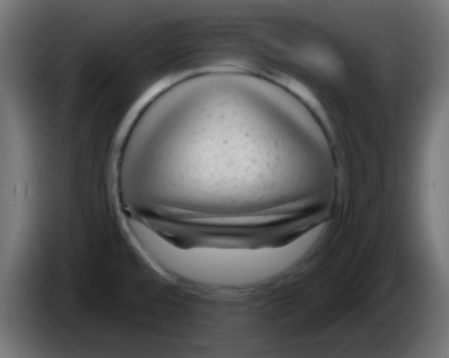 X0000083051480200703022100