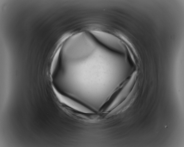 X0000083051481200703022100