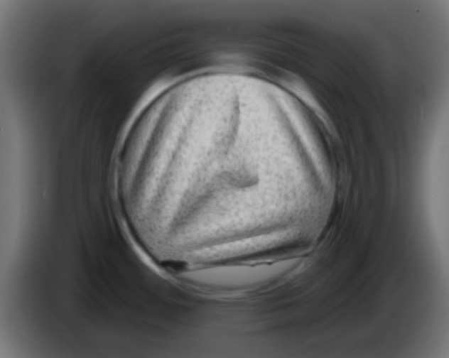 X0000083051484200703022100