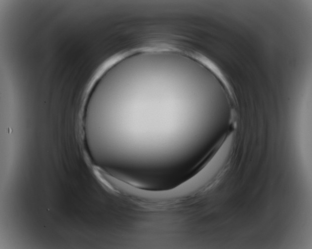 X0000083051485200703022059