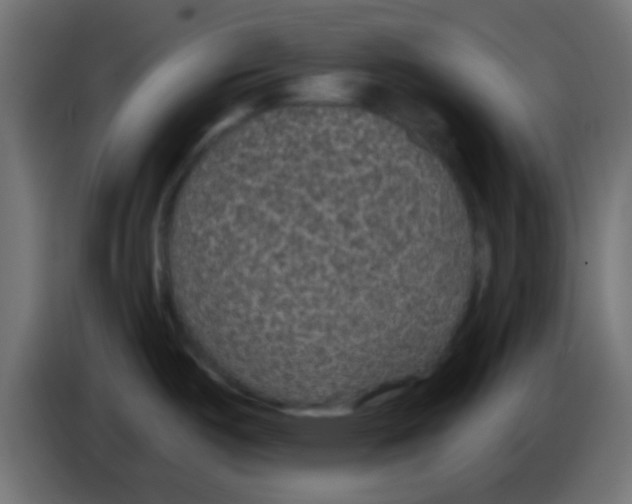 X0000083051487200703022059