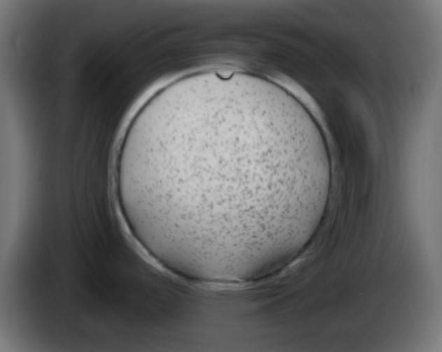 X0000083051488200703022059