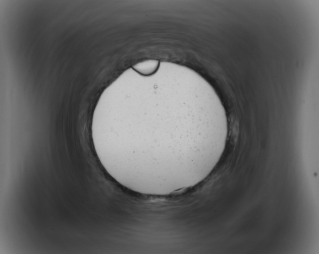 X0000083051489200703022059