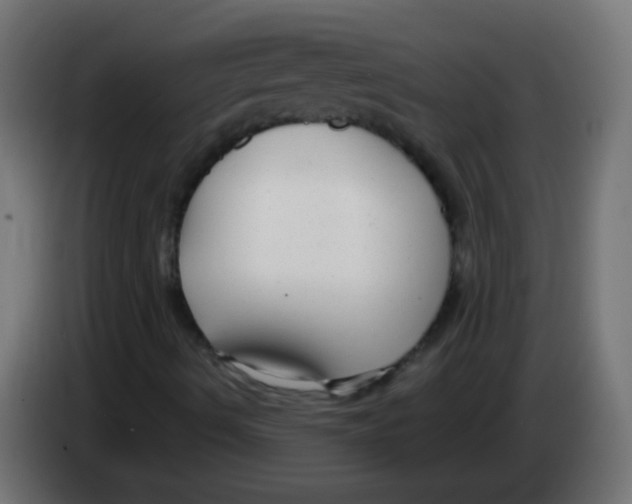 X0000083051490200703022059