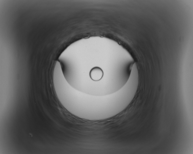 X0000083051492200703022059