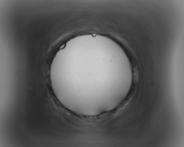 X0000083051494200703022059